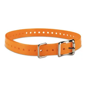 DogWatch Remote Trainer Replacement Strap, Standard Buckle - Orange